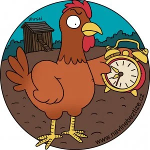 Slepičí škola. Slepice držící budík a sledující hodiny. Ilustrace.