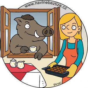 Divočina. Divoké prase s espresem v kopýtku hledí otevřeným oknem do kuchyně mojí ženy, která nese v ruce pekáč buchet. Ilustrace.